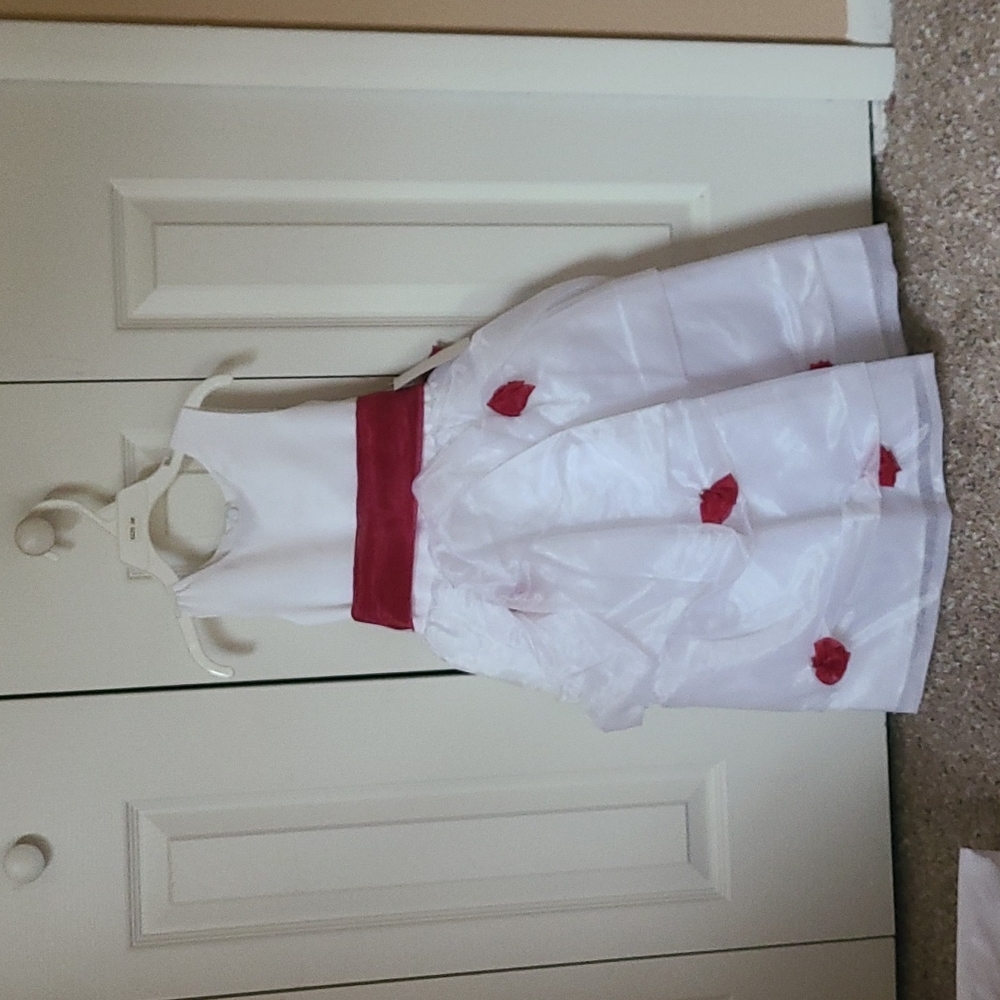 Brand new flower girl dress